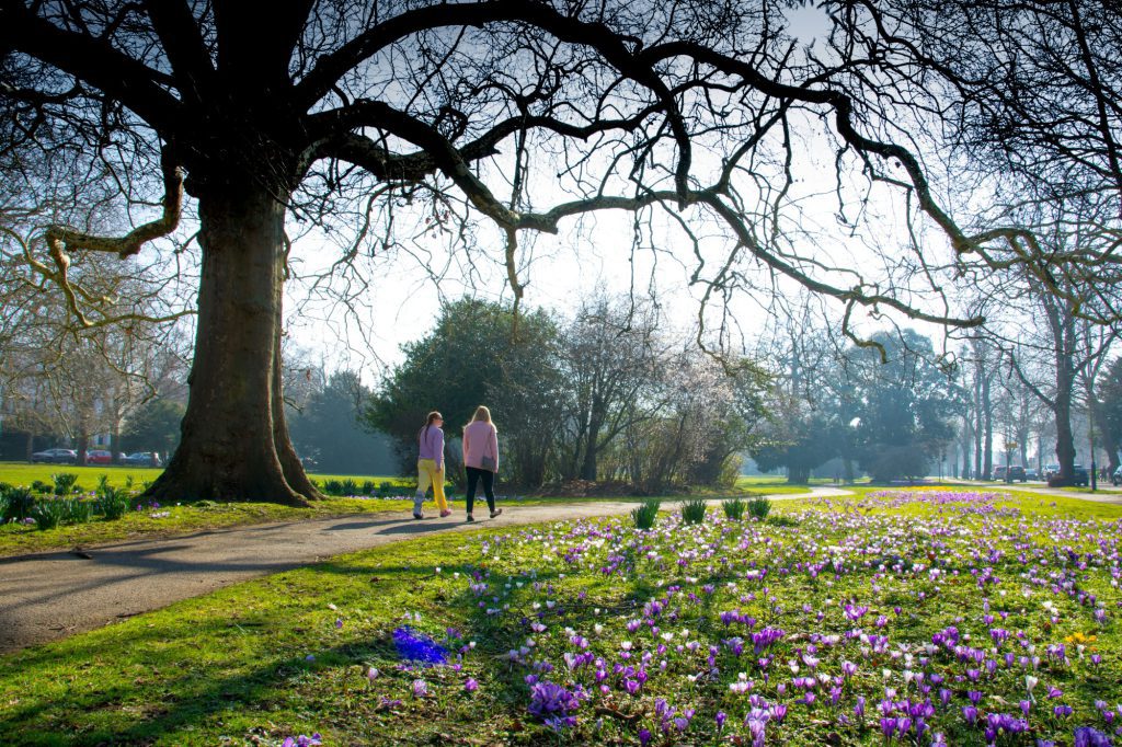 Pitville park in Cheltenham, a tree in spring in the background with two people walking.